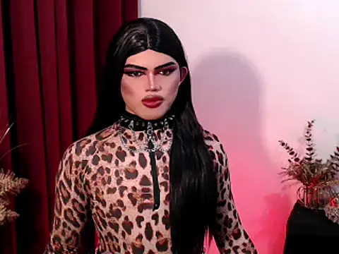 Show webcam de ShaneX01