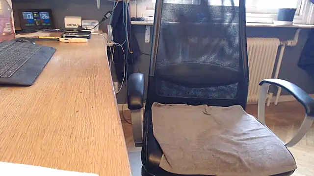 endastjag Webcam show