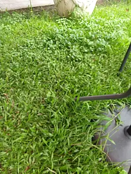 Isabella_Stark Obrolan Langsung XXX