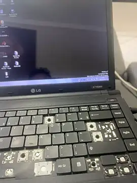 Show de webcam de adgato