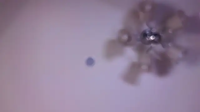 Онлайн чат XXX SallyCha