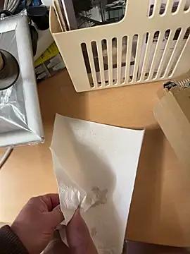 Show modela jena19781 na web-kameri