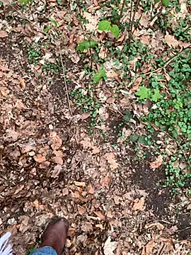 Chat XXX en directo de GeilerHSVFAN1989