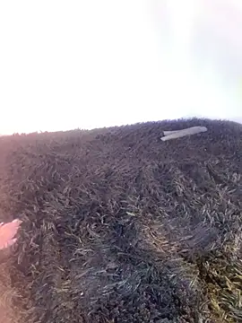 -Jack_Zoe-'s Live XXX Chat