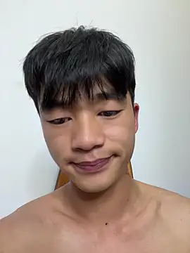 NV-1 网络视讯表演