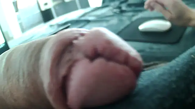 trainflasher Show in webcam