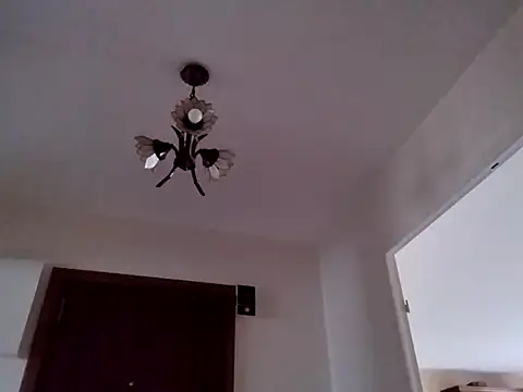 Show webcam de Perv10