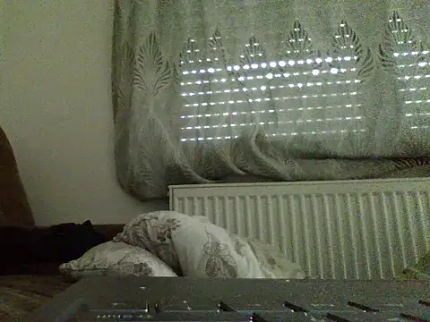 Show modela FROL83 na web-kameri