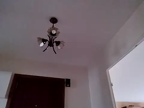 Perv10: διαδικτυακό σόου στην κάμερα