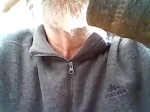 Webkamerová show xcimeru