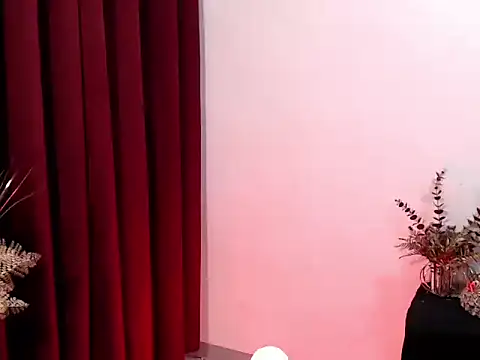 ShaneX01 网络视讯表演