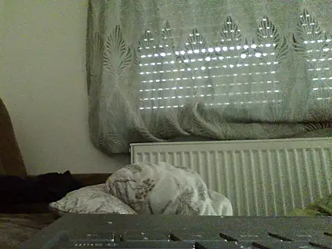 Show webcam de FROL83