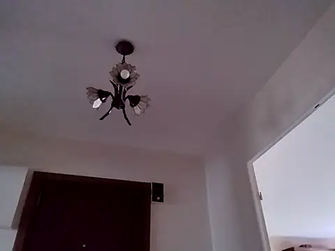 Perv10 即時 XXX 聊天