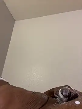 Show Webcam de FatDikboi