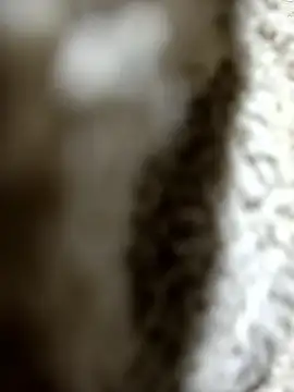 Онлайн чат XXX NIANIAKUTE