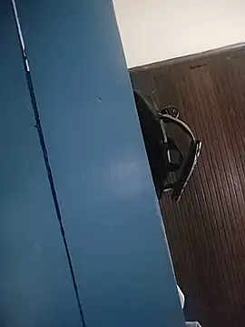 Palomamaximoのウェブカメラショー