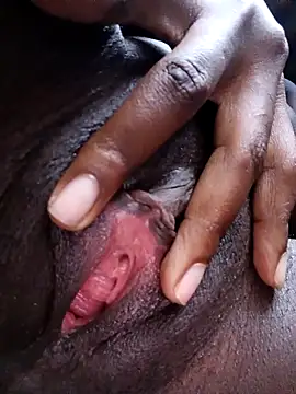 Chat XXX en directo de holygrail001