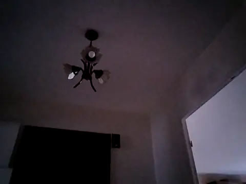 Show Webcam de Perv10