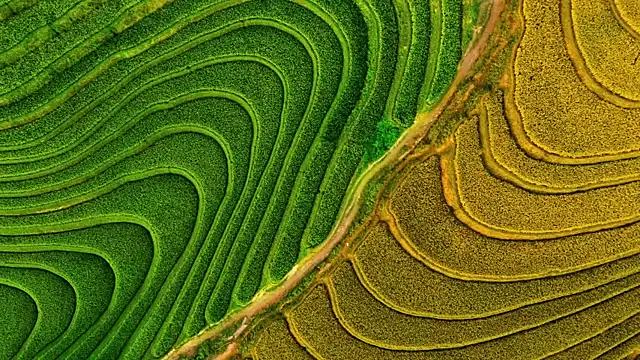 tutu-l Adlı Modelin Canlı XXX Sohbeti