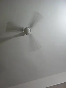 Blossam_07 Chat XXX live