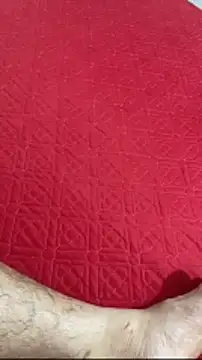 vietAnhzip Pertunjukan Webcam