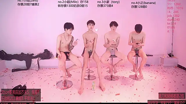 Show de webcam de woshididimen