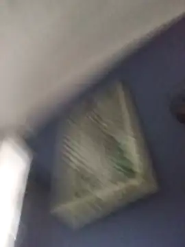 Pokazy przed kamerką – Big_D_SD