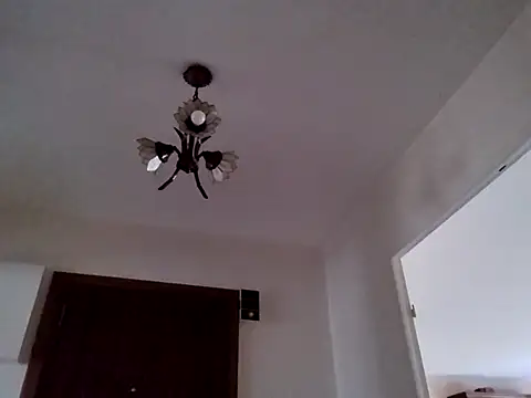 Show de webcam de Perv10