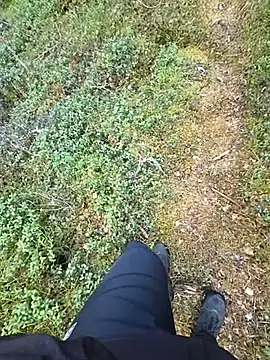 Amatsontransn Webbikameraesitys