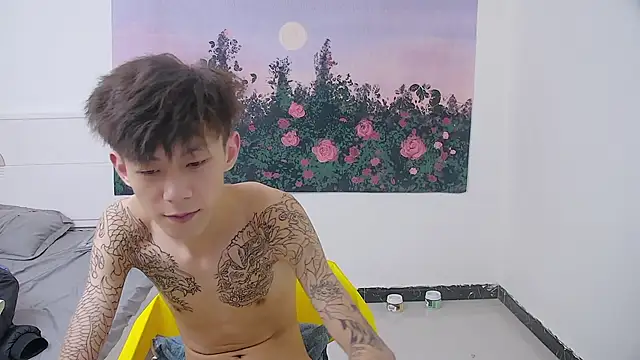 Show webcam de paofu-001