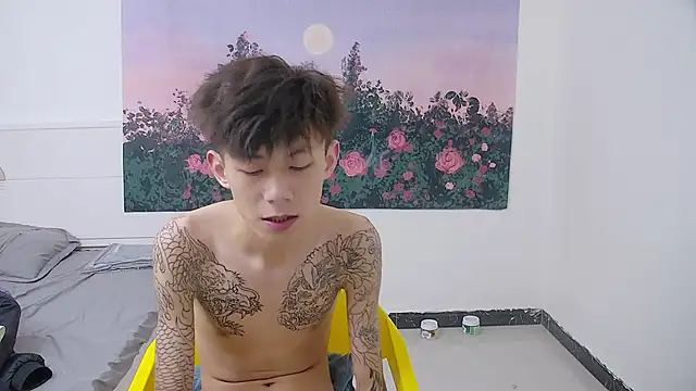 Show webcam de paofu-001