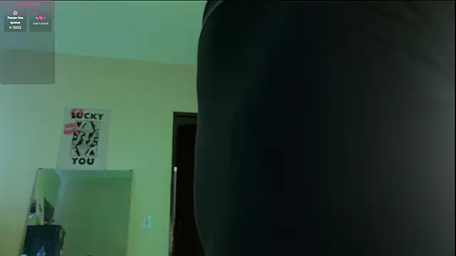 Lucasfit24 – webcam-show