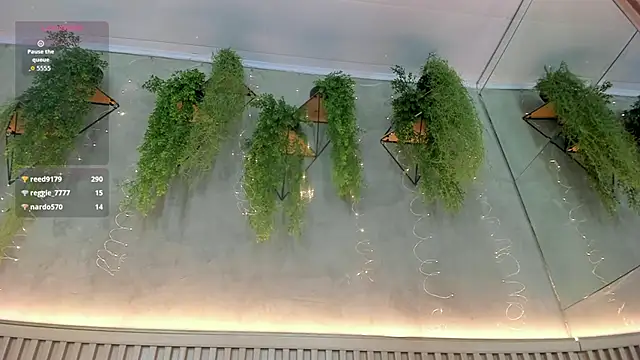 Lana_Lann 웹캠 쇼