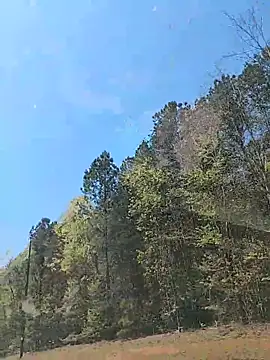 Biknight élő XXX-chatje