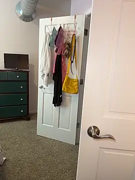 prettyprofessorpeach Show in webcam