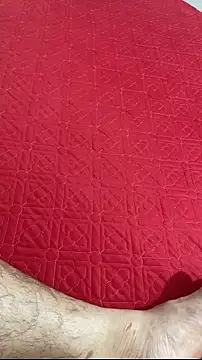 Pertunjukan Kamera Web vietAnhzip