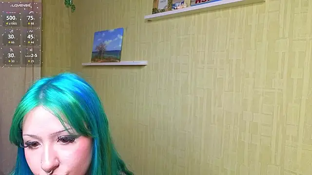 Show Webcam de JoyRivers