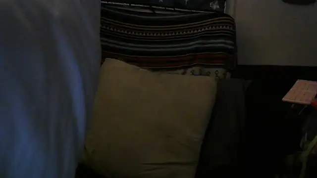 Show webcam de crassanova