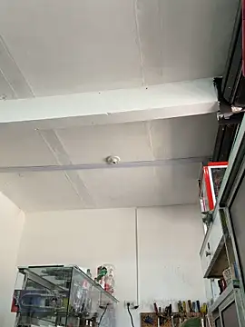 Paul22cm- Obrolan Langsung XXX