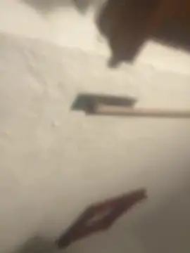 zandyplus Obrolan Langsung XXX