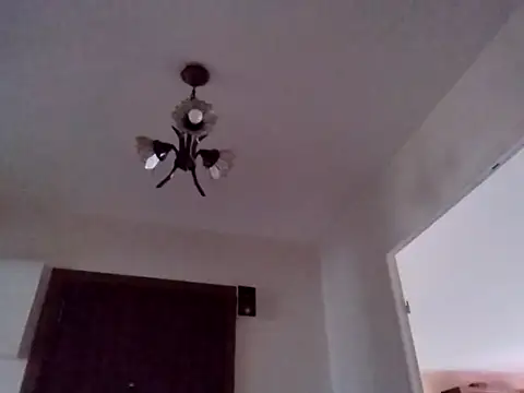 Perv10 网络视讯表演