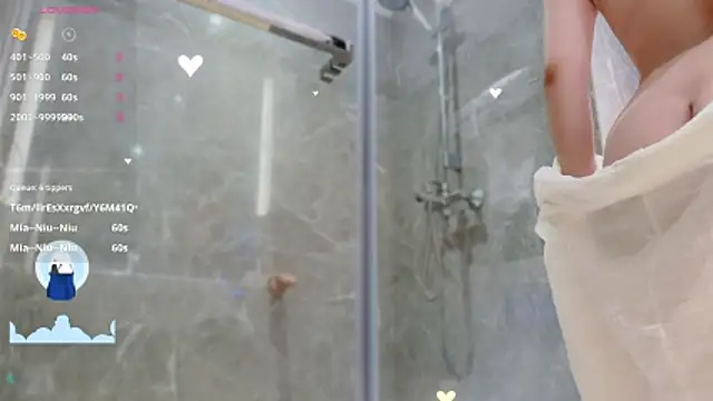 Show Webcam de Vaidurya-Yolo