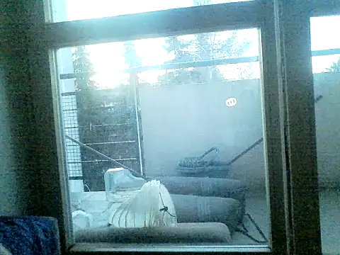 Вебкам-шоу SirNefastus