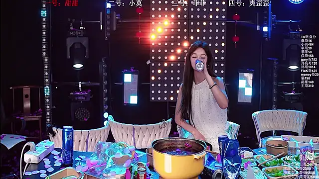 S5-5S5n Webbikameraesitys