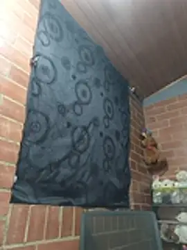 Alexandrina Obrolan Langsung XXX