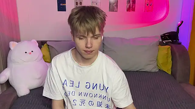 metarion webcam show