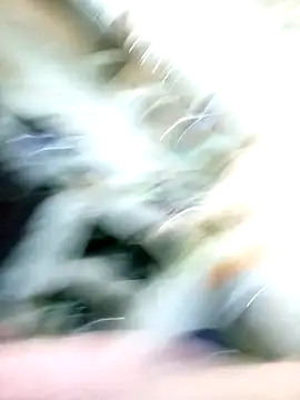 عرض كام BURBUJA_y_CABALLERO