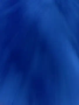 عرض كام josefcataln