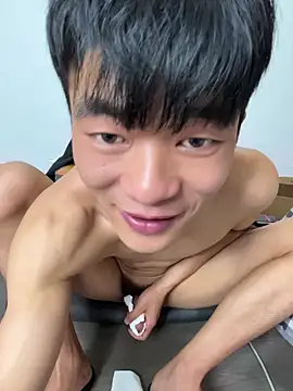 Show de webcam de NV-1