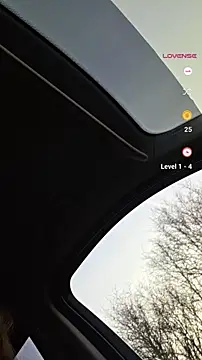 Melissa1994-n Webbikameraesitys